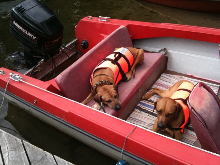 Argos und Lirre