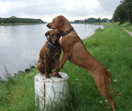 Dakira und Juni