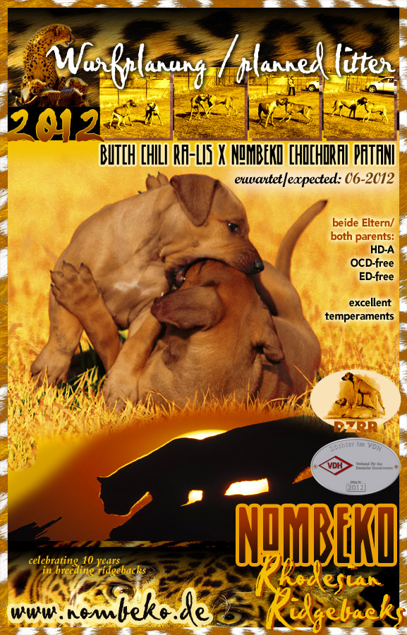 Wurfplanung Rhodesian Ridgeback 2012