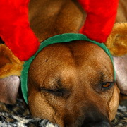 Xmas 2011