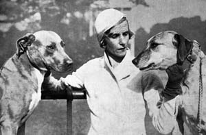 Ridgebacks