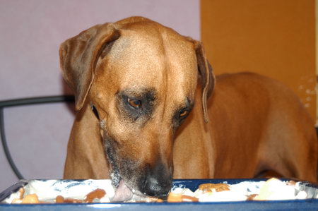 Chipo
