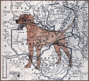 Rhodesia�with dog image