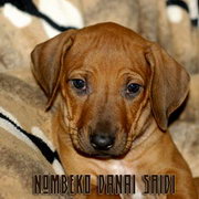 Danai