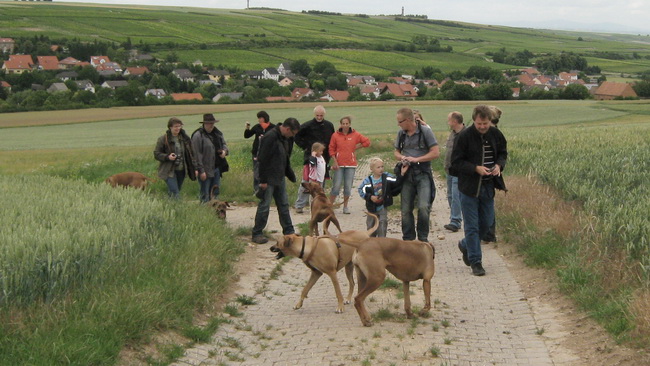 Wurftreffen